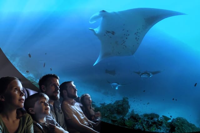 People LOVE the soaring manta rays!